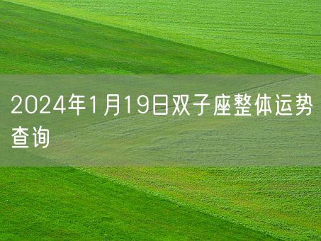 2024年1月19日双子座整体运势查询(图1)