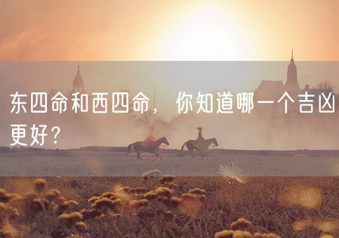 东四命和西四命，你知道哪一个吉凶更好？(图1)