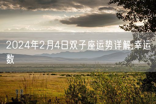 2024年2月4日双子座运势详解,幸运数(图1)