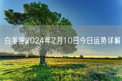 白羊座2024年2月10日今日运势详解(图1) 白羊座2024年2月10日今日运势详解(图1)