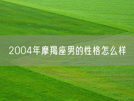 2004年摩羯座男的性格怎么样(图1)