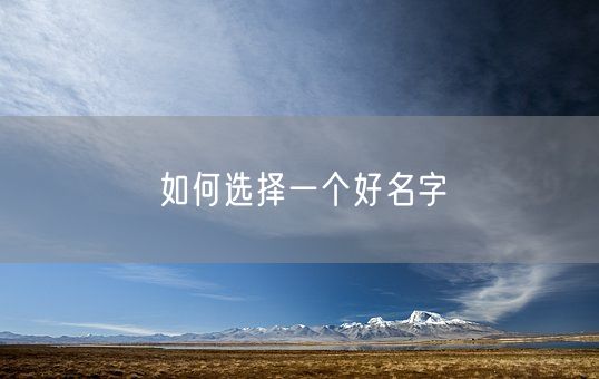 如何选择一个好名字(图1) 如何选择一个好名字(图1)