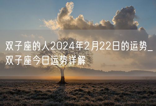 双子座的人2024年2月22日的运势_双子座今日运势详解(图1)