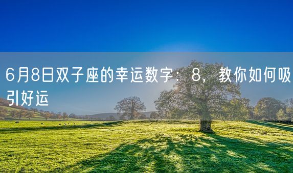6月8日双子座的幸运数字：8，教你如何吸引好运(图1)