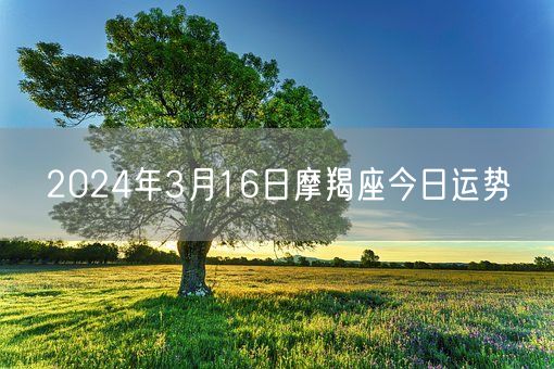 2024年3月16日摩羯座今日运势(图1)