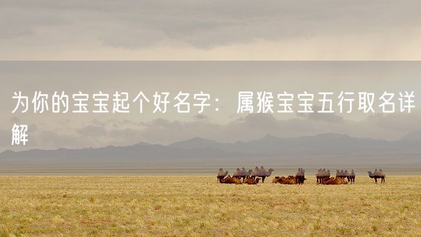 为你的宝宝起个好名字:属猴宝宝五行取名详解(图1) 为你的宝宝起个好名字:属猴宝宝五行取名详解(图1)