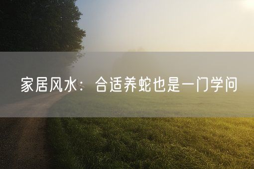 家居风水:合适养蛇也是一门学问(图1) 家居风水:合适养蛇也是一门学问(图1)