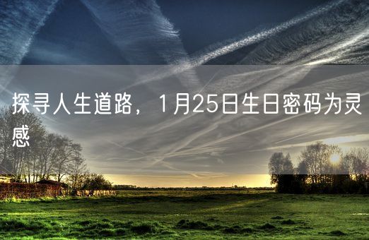 探寻人生道路,1月25日生日密码为灵感(图1) 探寻人生道路,1月25日生日密码为灵感(图1)