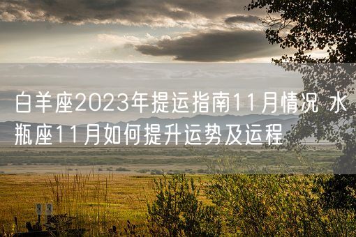 白羊座2023年提运指南11月情况 水瓶座11月如何提升运势及运程(图1)