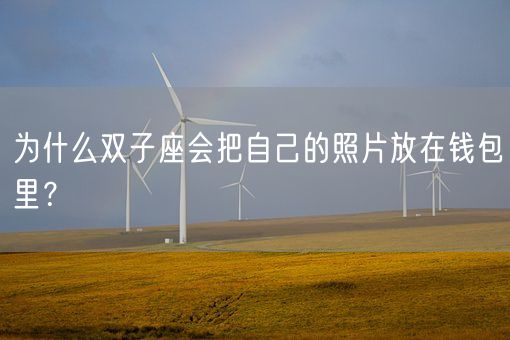 为什么双子座会把自己的照片放在钱包里?(图1) 为什么双子座会把自己的照片放在钱包里?(图1)