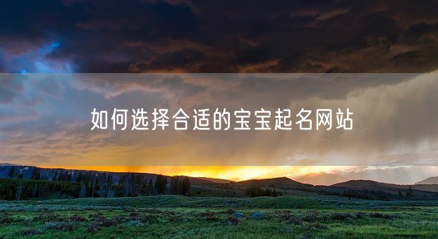 如何选择合适的宝宝起名网站(图1)