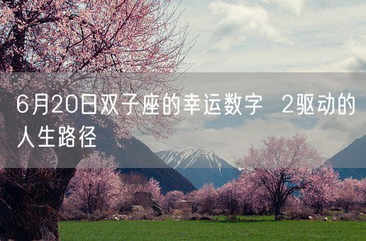 6月20日双子座的幸运数字 2驱动的人生路径(图1) 6月20日双子座的幸运数字 2驱动的人生路径(图1)