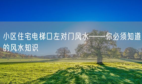 小区住宅电梯口左对门风水——你必须知道的风水知识(图1) 小区住宅电梯口左对门风水——你必须知道的风水知识(图1)