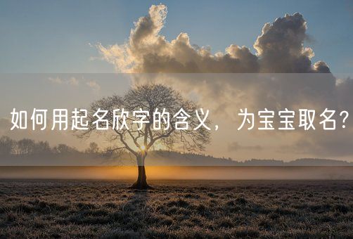 如何用起名欣字的含义，为宝宝取名？(图1)