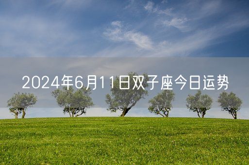 2024年6月11日双子座今日运势(图1) 2024年6月11日双子座今日运势(图1)