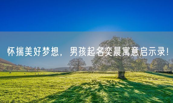 怀揣美好梦想，男孩起名奕晨寓意启示录！(图1)