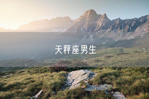 天秤座男生(图1)