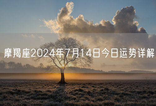 摩羯座2024年7月14日今日运势详解(图1)