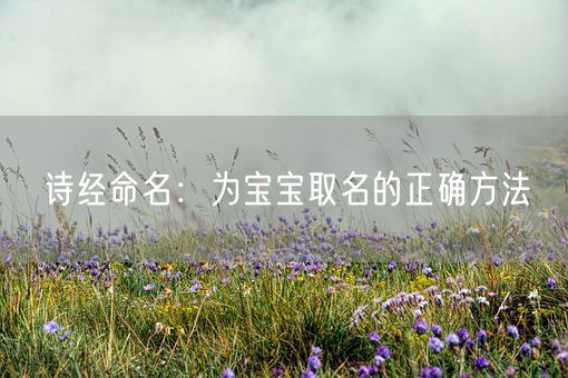 诗经命名：为宝宝取名的正确方法(图1)