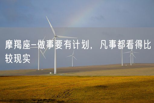 摩羯座-做事要有计划，凡事都看得比较现实(图1)