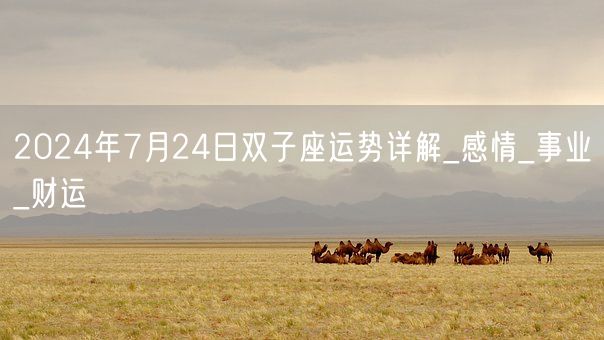 2024年7月24日双子座运势详解_感情_事业_财运(图1)