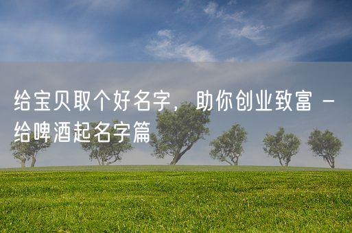 给宝贝取个好名字，助你创业致富 - 给啤酒起名字篇(图1)