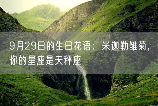 9月29日的生日花语：米迦勒雏菊，你的星座是天秤座(图1)