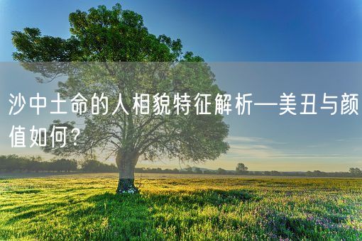 沙中土命的人相貌特征解析—美丑与颜值如何？(图1)