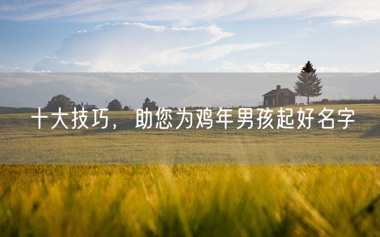 十大技巧，助您为鸡年男孩起好名字(图1)