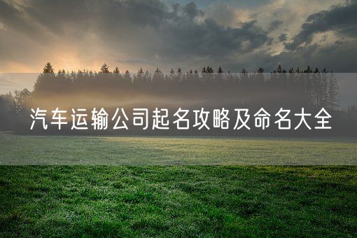 汽车运输公司起名攻略及命名大全(图1)