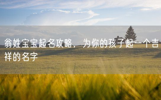 翁姓宝宝起名攻略，为你的孩子起一个吉祥的名字(图1)