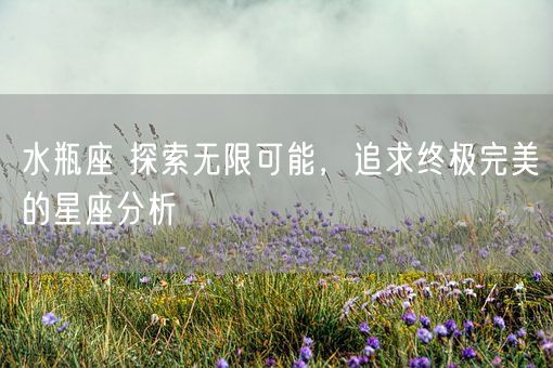 水瓶座 探索无限可能,追求终极完美的星座分析(图1) 水瓶座 探索无限可能,追求终极完美的星座分析(图1)