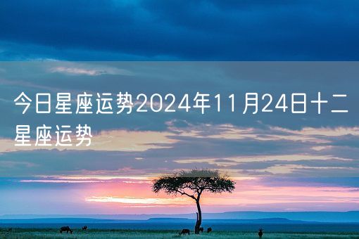 今日星座运势2024年11月24日十二星座运势(图1)