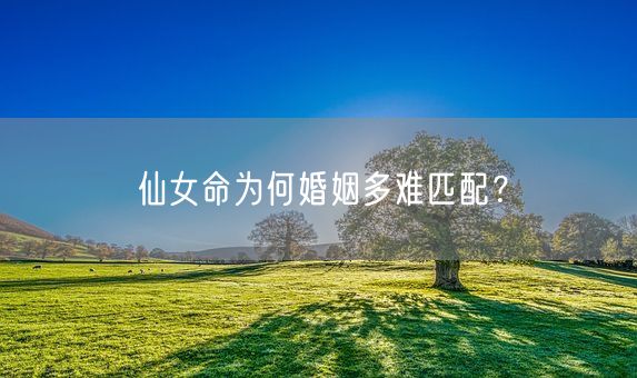 仙女命为何婚姻多难匹配？(图1)