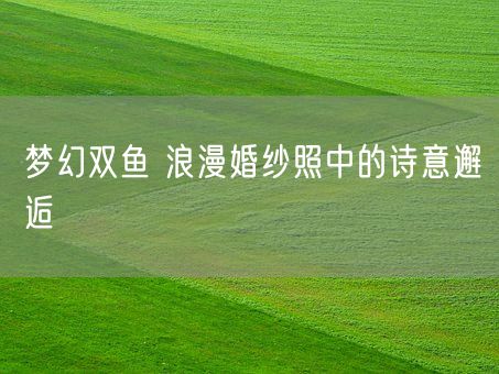 梦幻双鱼 浪漫婚纱照中的诗意邂逅(图1)
