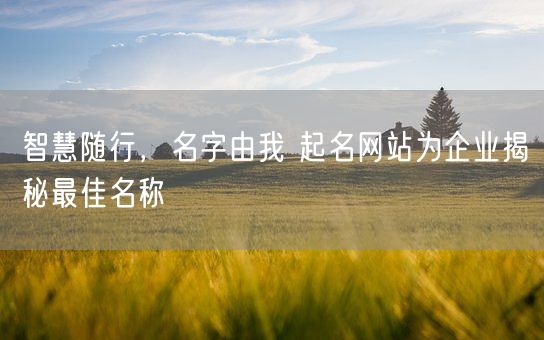 智慧随行，名字由我 起名网站为企业揭秘最佳名称(图1)