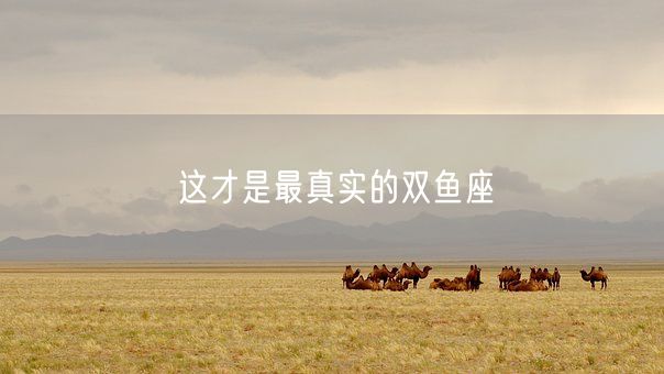 这才是最真实的双鱼座(图1)