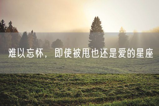 难以忘怀，即使被甩也还是爱的星座(图1)