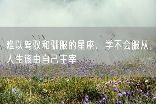 难以驾驭和驯服的星座，学不会服从，人生该由自己主宰(图1)
