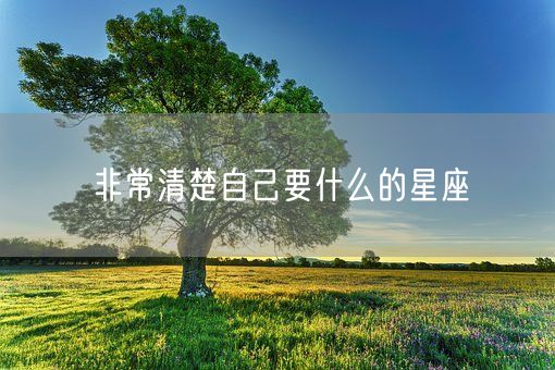 非常清楚自己要什么的星座(图1)