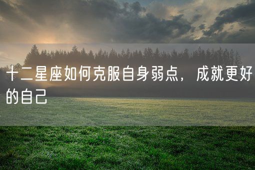 十二星座如何克服自身弱点,成就更好的自己(图1) 十二星座如何克服自身弱点,成就更好的自己(图1)