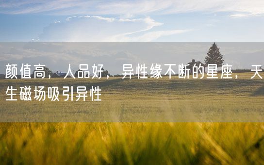 颜值高,人品好,异性缘不断的星座,天生磁场吸引异性(图1) 颜值高,人品好,异性缘不断的星座,天生磁场吸引异性(图1)