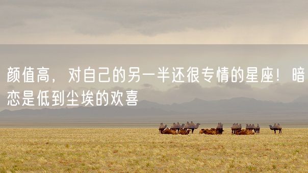 颜值高,对自己的另一半还很专情的星座!暗恋是低到尘埃的欢喜(图1) 颜值高,对自己的另一半还很专情的星座!暗恋是低到尘埃的欢喜(图1)