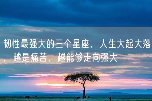 韧性最强大的三个星座,人生大起大落,越是痛苦,越能够走向强大(图1) 韧性最强大的三个星座,人生大起大落,越是痛苦,越能够走向强大(图1)