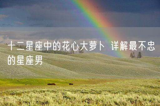 十二星座中的花心大萝卜 详解最不忠的星座男(图1) 十二星座中的花心大萝卜 详解最不忠的星座男(图1)