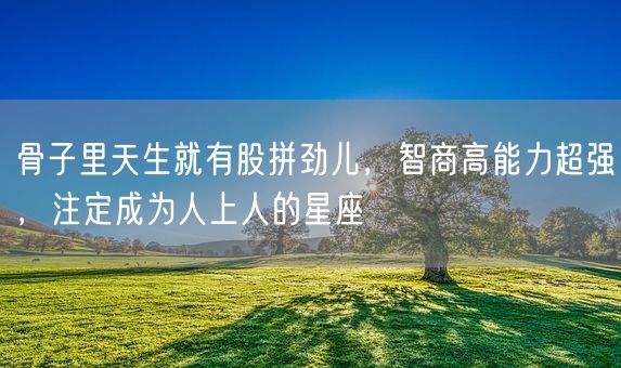 骨子里天生就有股拼劲儿,智商高能力超强,注定成为人上人的星座(图1) 骨子里天生就有股拼劲儿,智商高能力超强,注定成为人上人的星座(图1)