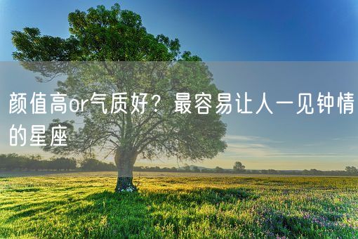 颜值高or气质好？最容易让人一见钟情的星座(图1)