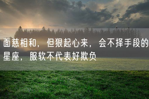 面慈相和,但狠起心来,会不择手段的星座,服软不代表好欺负(图1) 面慈相和,但狠起心来,会不择手段的星座,服软不代表好欺负(图1)