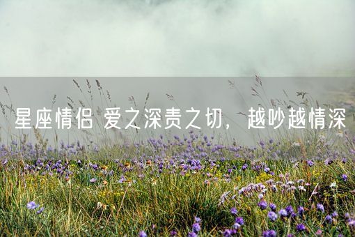 星座情侣 爱之深责之切，越吵越情深(图1)
