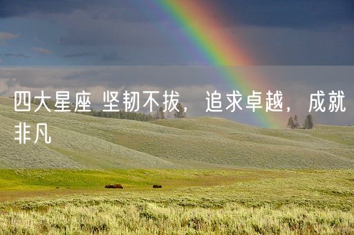 四大星座 坚韧不拔，追求卓越，成就非凡(图1)